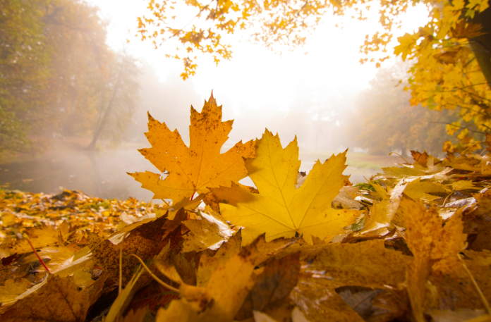 October Tips On Romance October Tips On Romance