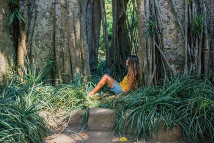 Getting Healed with Mother Nature